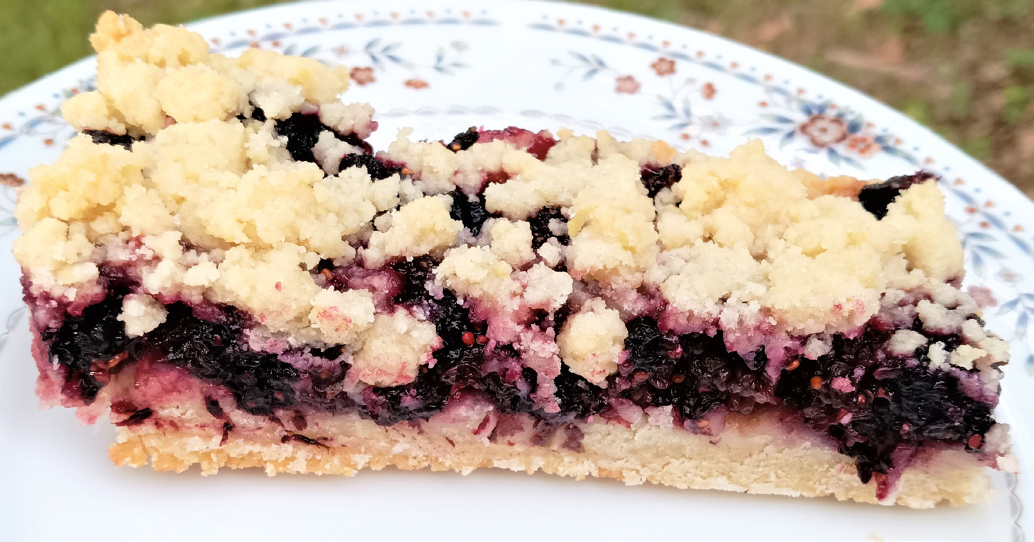 Mulberry Crumb Bars Sequoyah County Times