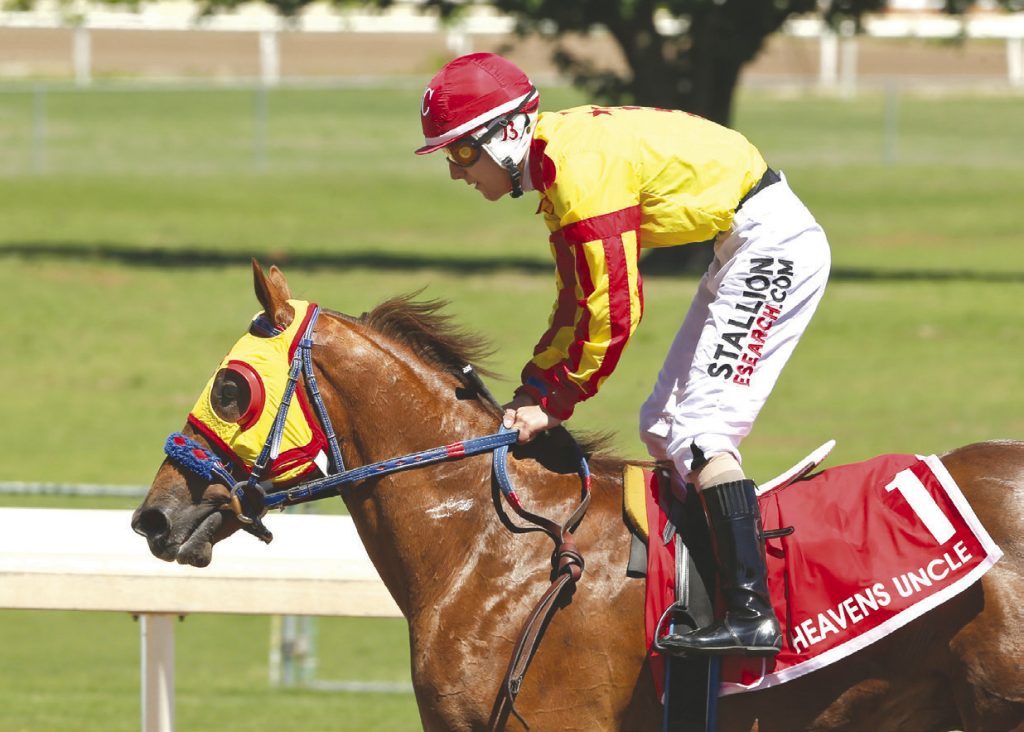 Horse trained, owned by Sallisaw residents wins Remington Park Futurity ...